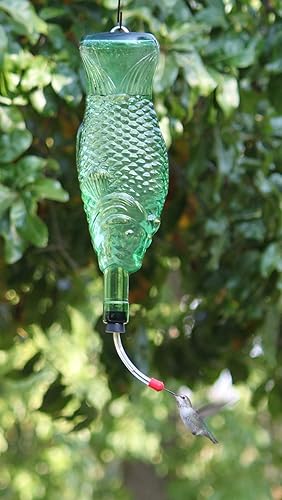 Amazon Com Fish Hummingbird Feeder Handmade