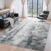 CRYPTOLITE Abstract Area Rug Washable Rug with Non-Slip Backing Low Pile Area Rugs for Living Room, Bedroom, Dining Room,4x6, Grey