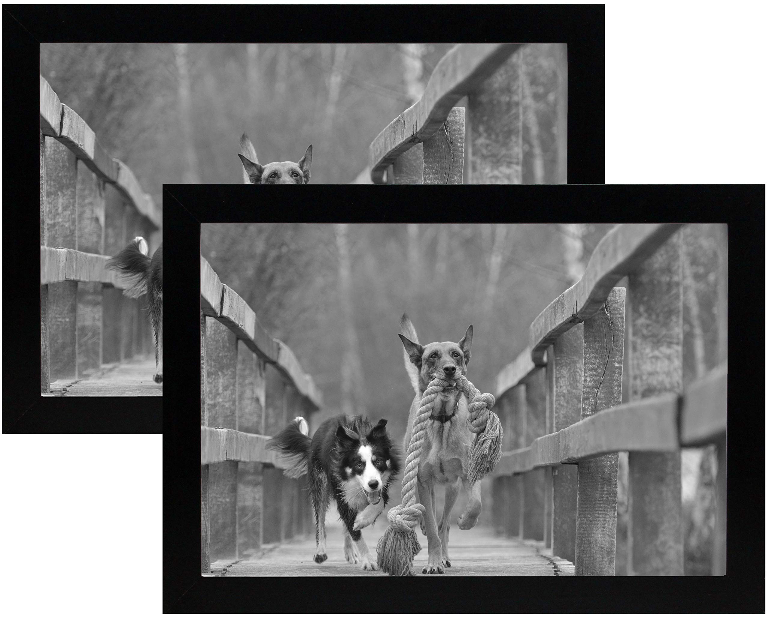 Photo 1 of 8x12 Black Gallery Picture Frame 2-Pack - Wide Molding - Includes Both Attached Hanging Hardware and Desktop Easel - Display Pictures 8 x 12 Inches - Eight by Twelve - Two Frames