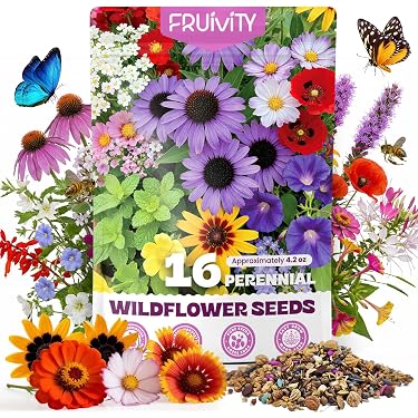 Amazon Best Sellers: Best Flower Plants & Seeds
