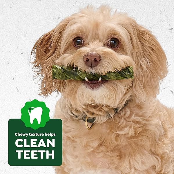 GREENIES OCCUPY TWISTS NATURAL DOG TREATS LARGE BREED SIZE CHICKEN FLAVOR, 8.55 OZ. PACK, 4 COUNT
