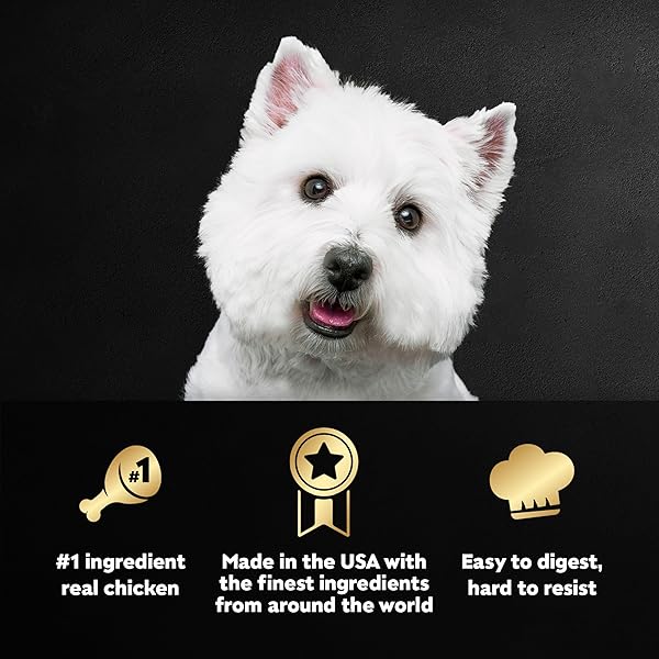 CESAR FILETS IN GRAVY, ADULT WET DOG FOOD, ROTISSERIE CHICKEN FLAVOR, WET FOOD FOR DOGS, 3.5 OZ TRAYS, 24 COUNT