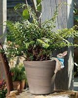 Pot Buddies Beatrix Potter Peter Rabbit Climbing Plant Pot Hanger view 5