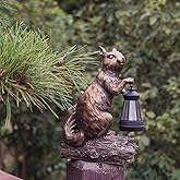 DiliComing Solar Garden Decor Outdoor Statues - Resin Cute Animal Solar Powered LED Garden Light Porcelain Squirrel Decor Yard Decorations Outdoor 8.5 * 4.5 * 11.25 Inch