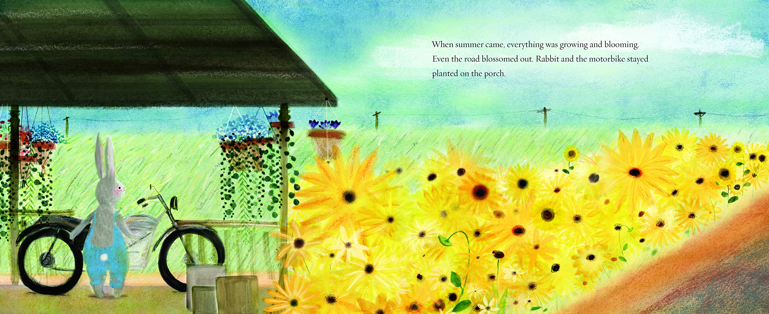 Image result for rabbit motorbike hoefler