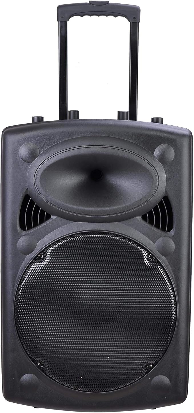 portable active pa speaker