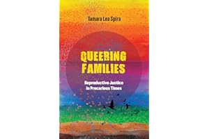 Queering Families: Reproductive Justice in Precarious Times (Reproductive Justice: A New Vision for the 21st Century Book 12)