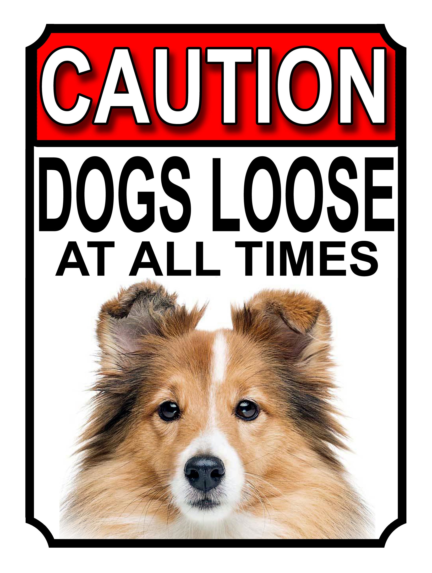 CAUTION DOGS LOOSE AT ALL TIMES METAL GATE SIGN SHETLAND SHEEPDOG 200MM X 150MM (1215H1) โ image 1