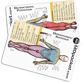 Rapid ID - Dermatomes (Horizontal)