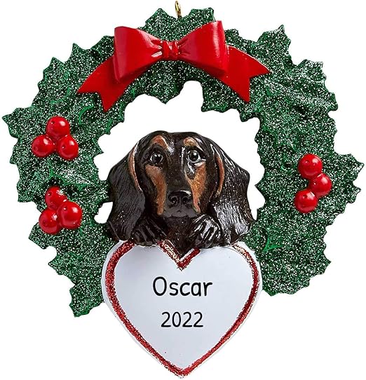 pure black dachshund