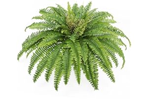 GALEBEIREN Artificial Ferns for Outdoors & Indoors, 45" Large Faux Ferns 57 Fronds Fake Boston Fern Plant for Planter Garden Porch Entrance Home Windowsill Yards Farmhouse Decoraction (1 Stem)