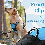 rabbitgoo Dog Harness Medium Front Back Clip Reflective Sky Blue M view 7