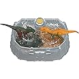 Mattel Jurassic World Dino Reveal Dinosaur 2-Pack of Toys with Battle Arena, Warm Water Uncovers Full Decoration, Color Change Play, Species Vary