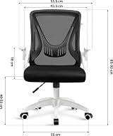 Blisswood Office Mesh Chair with 90° Flip-Up Armrests Ergonomic Lumbar Support view 3