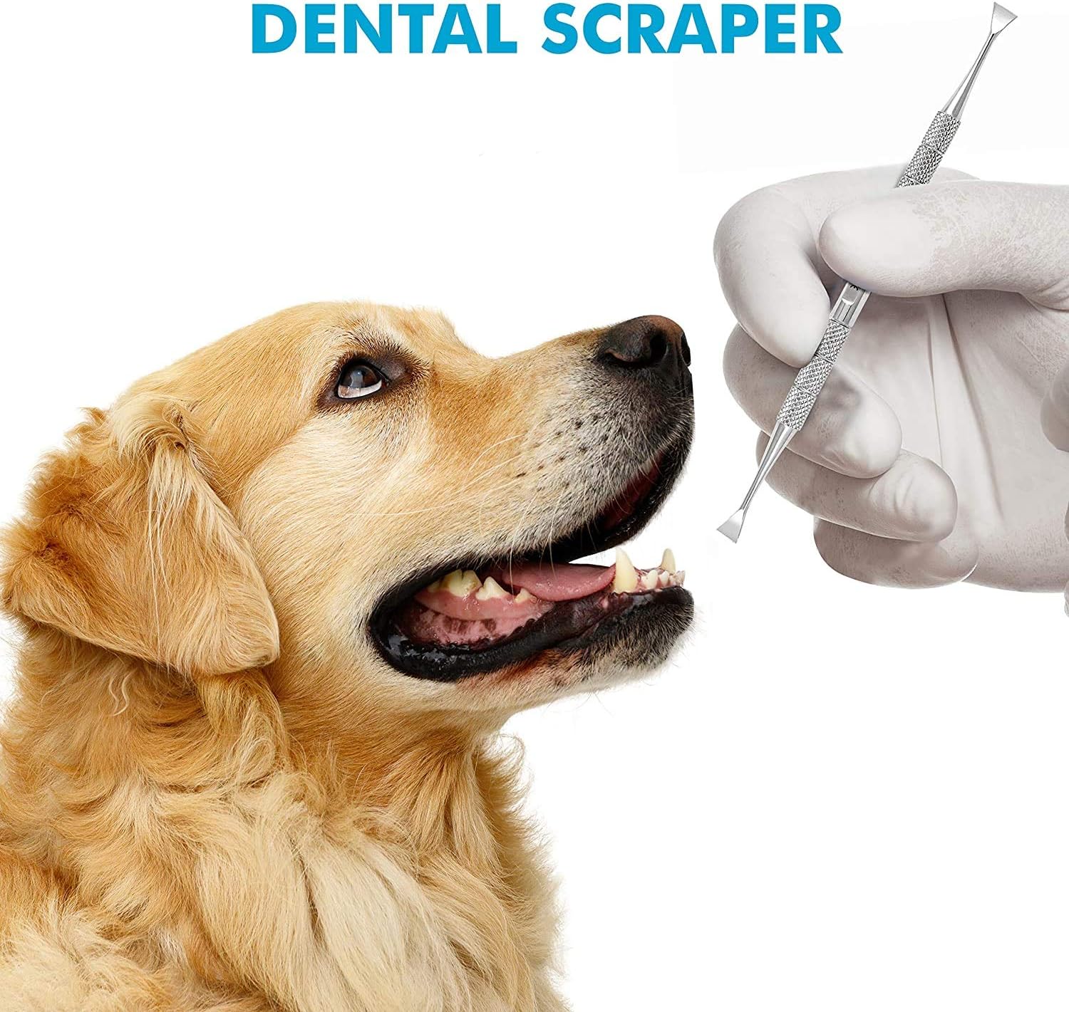 ZOVIRA Calculus Remover Dental Plaque Removal for Dogs and Cats Double Headed Teeth whitening Stainless Steel Kit Suitable for Small Puppy and Pets - Image 4