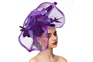 TS Fascinators for Women Kentucky Derby Hats with Mesh Feather Hair Clip Tea Party Cocktail Special Occasion