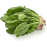 Organic Spinach, One Bunch