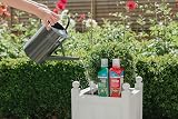 Westland Buxus Feed & Protect 2 in 1 Concentrates 2 x 500 ml Green view 5