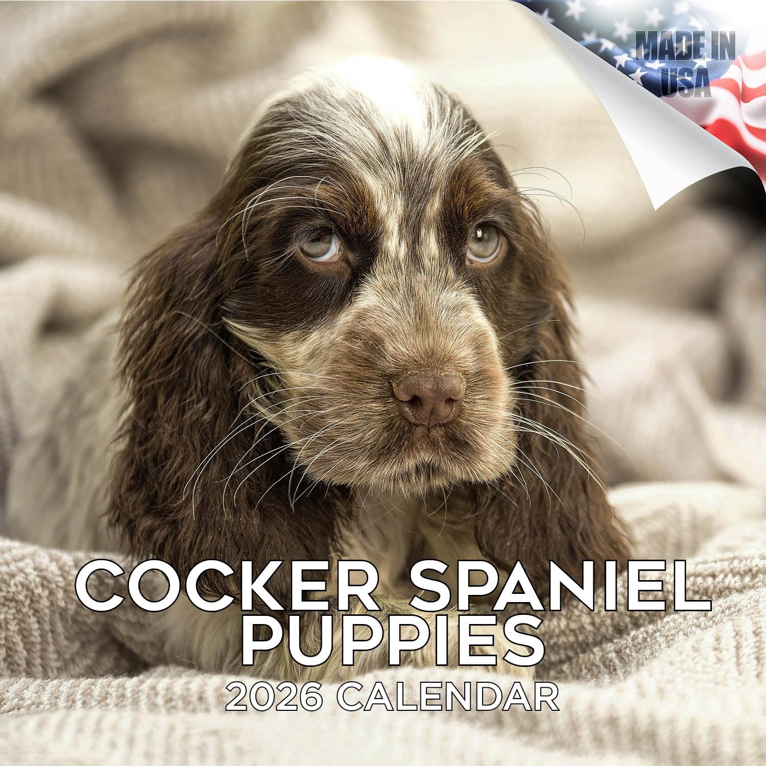 Cocker Spaniel Pups Calendar 2026 by MegaCalendars – Monthly Dog Breed Wall Calendar, Made in USA