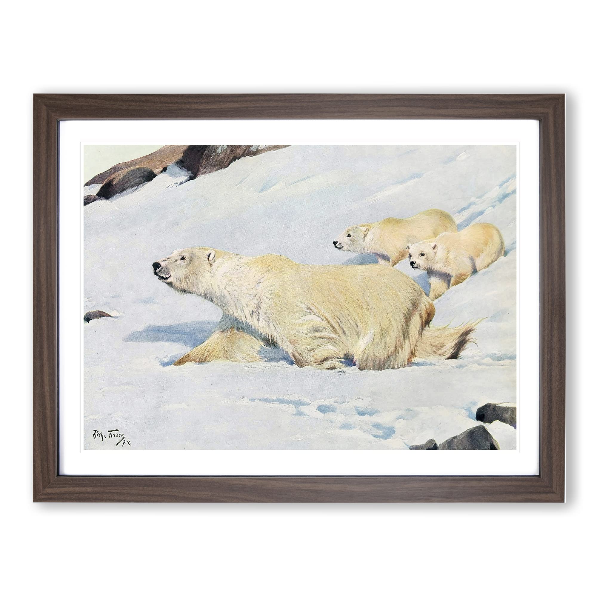 Friese, R. Polar Bears Vintage Framed Wall Art Print, Ready to Hang Picture for Living Room Bedroom Home Office Décor, Walnut A4 (34 x 25 cm)