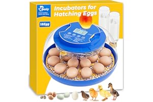 Besly 18 Incubators for Hatching Eggs, Automatic Egg Turning and Humidity Control, 360 View, Suitable for Chickens, Ducks, Quails, and Other Birds