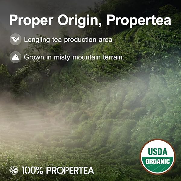 100% PROPERTEA ORGANIC GREEN TEA BAGS, 100 COUNT ECO-FRIENDLY TEA BAGS, LIGHT TASTE, CAFFEINATED, RICH IN ANTIOXIDANTS, RESEALABLE POUCH