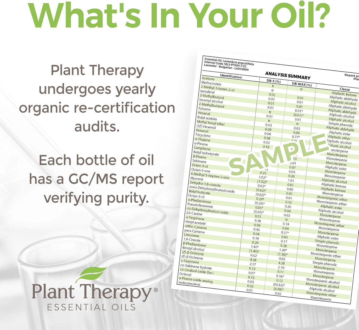 Plant Therapy Copaiba Oleoresin Organic Essential Oil 100% Pure, Undiluted, Natural Aromatherapy, Therapeutic Grade 10 mL (1/3 oz) : Beauty