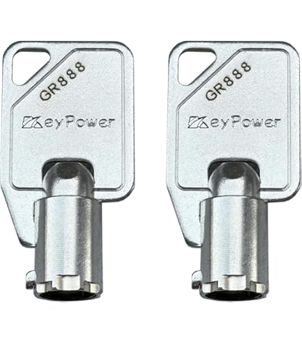 Amazon.com: KeyPower Keys (2) GR200 Tubular Key for Greenwald
