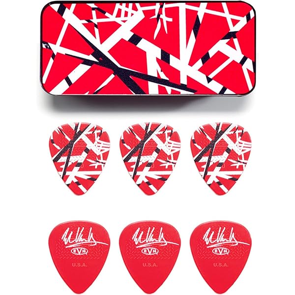 Amazon.com: EVH Striped Series Case - Black : Musical Instruments