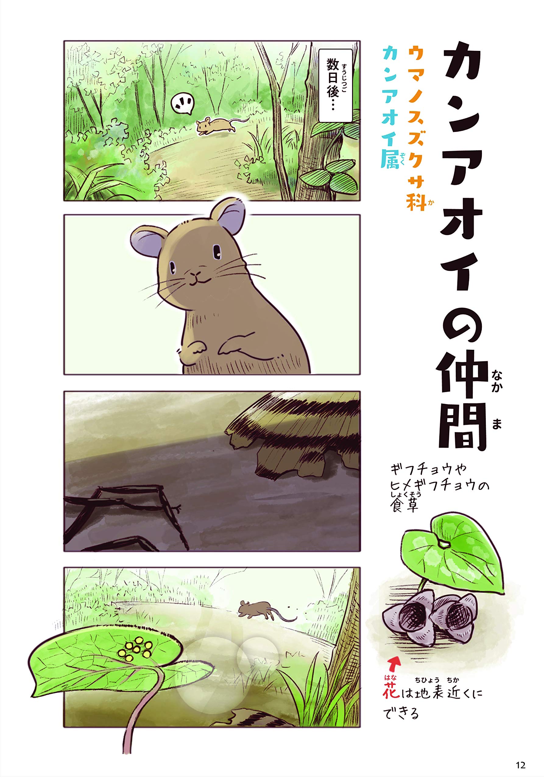 わいるどらいふっ 身近な生きもの観察図鑑 一日一種 本 通販 Amazon