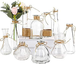 Nilos Glass Vases Set of 10, Clear Vintage Glass Flower Vase with Rope Design and Differing Unique Shapes for Home Decoration
