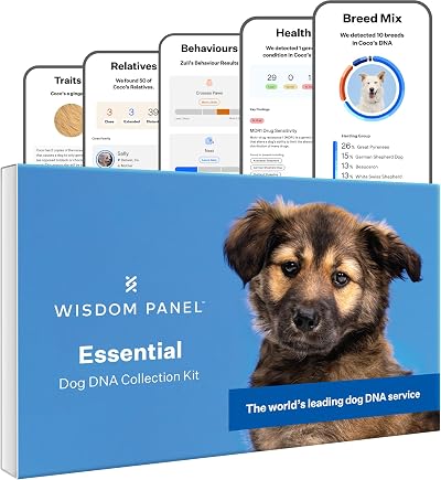 Wisdom Panel Essential Dog DNA Test Kit for Breed, Health & Traits