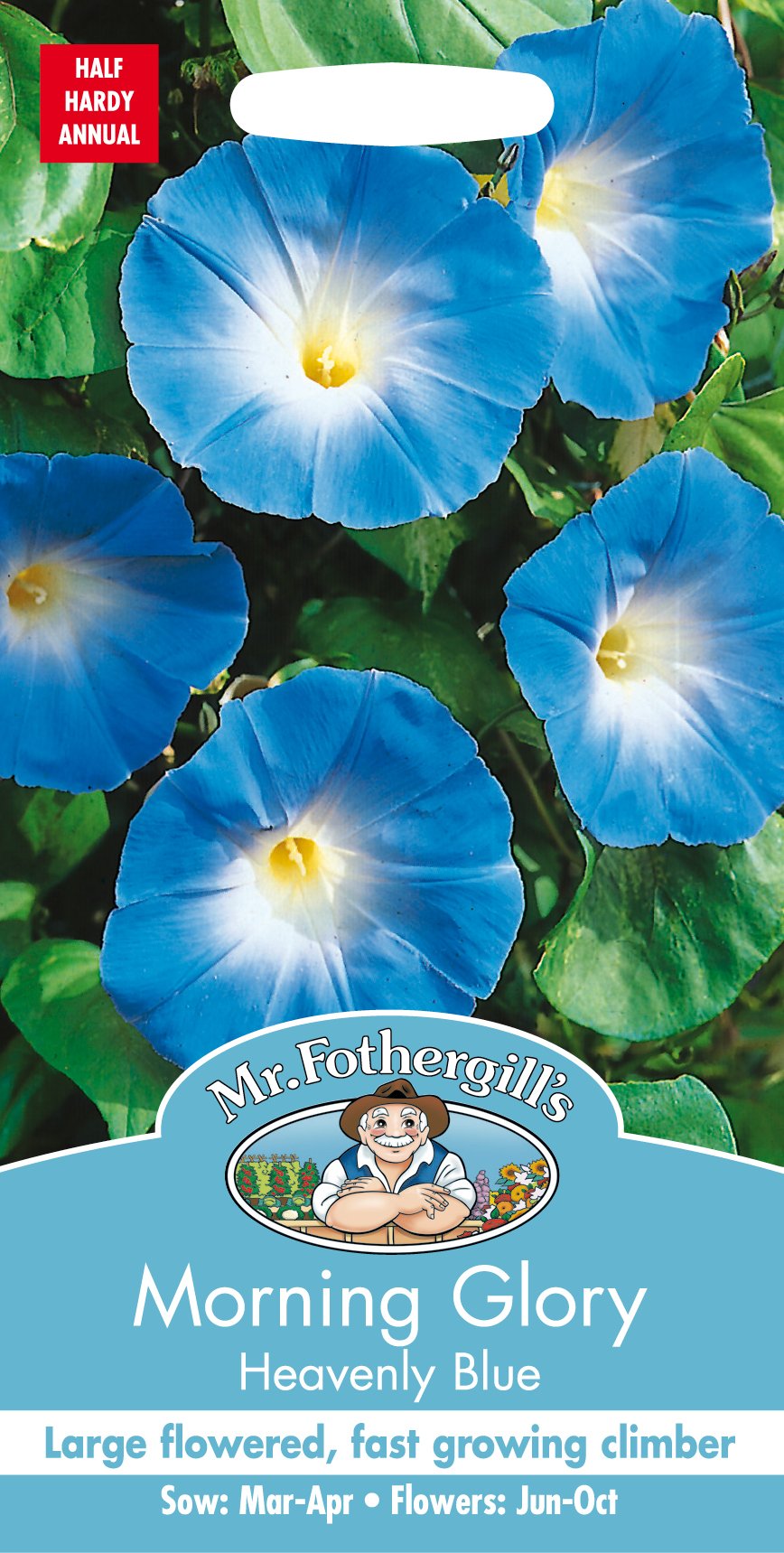 Mr Fothergill's 21960 MORNING GLORY Heavenly Blue Flower Seeds