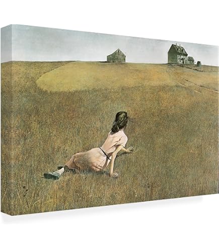 Amazon.com: Trademark Fine Art Wood Slat Art - 'Christina's World