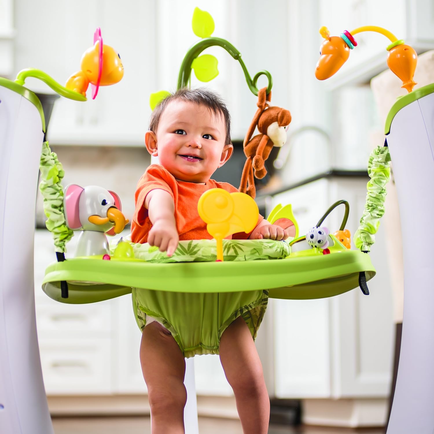 safari exersaucer