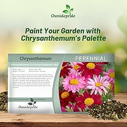 Outsidepride Robinson's Mix Chrysanthemum Seeds