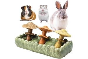 TEEWY Guinea Pig Chew Toys, Prevent Teeth Overgrowth, Natural Timothy Grass & Vegetables, Hamster Chew Toys, Guinea Pig Toys, Chinchilla Toys, 4PCS, Grass Patch & Mushrooms