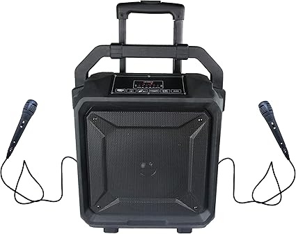 speaker with 2 microphones