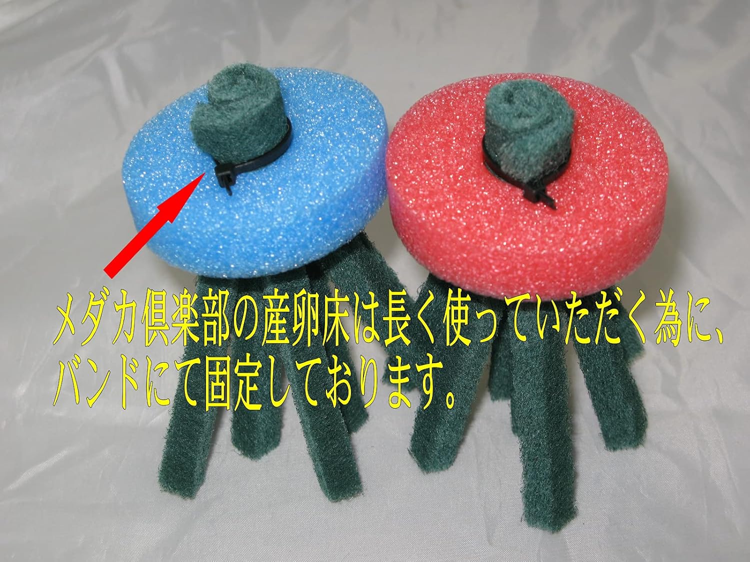 Amazon メダカ倶楽部 産卵床完成品 タマゴ産みますよ １１ｃｍ ９個入り ハンドメイド 産卵草 メダカ倶楽部 繁殖用タンク 通販