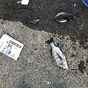 カスタマー画像