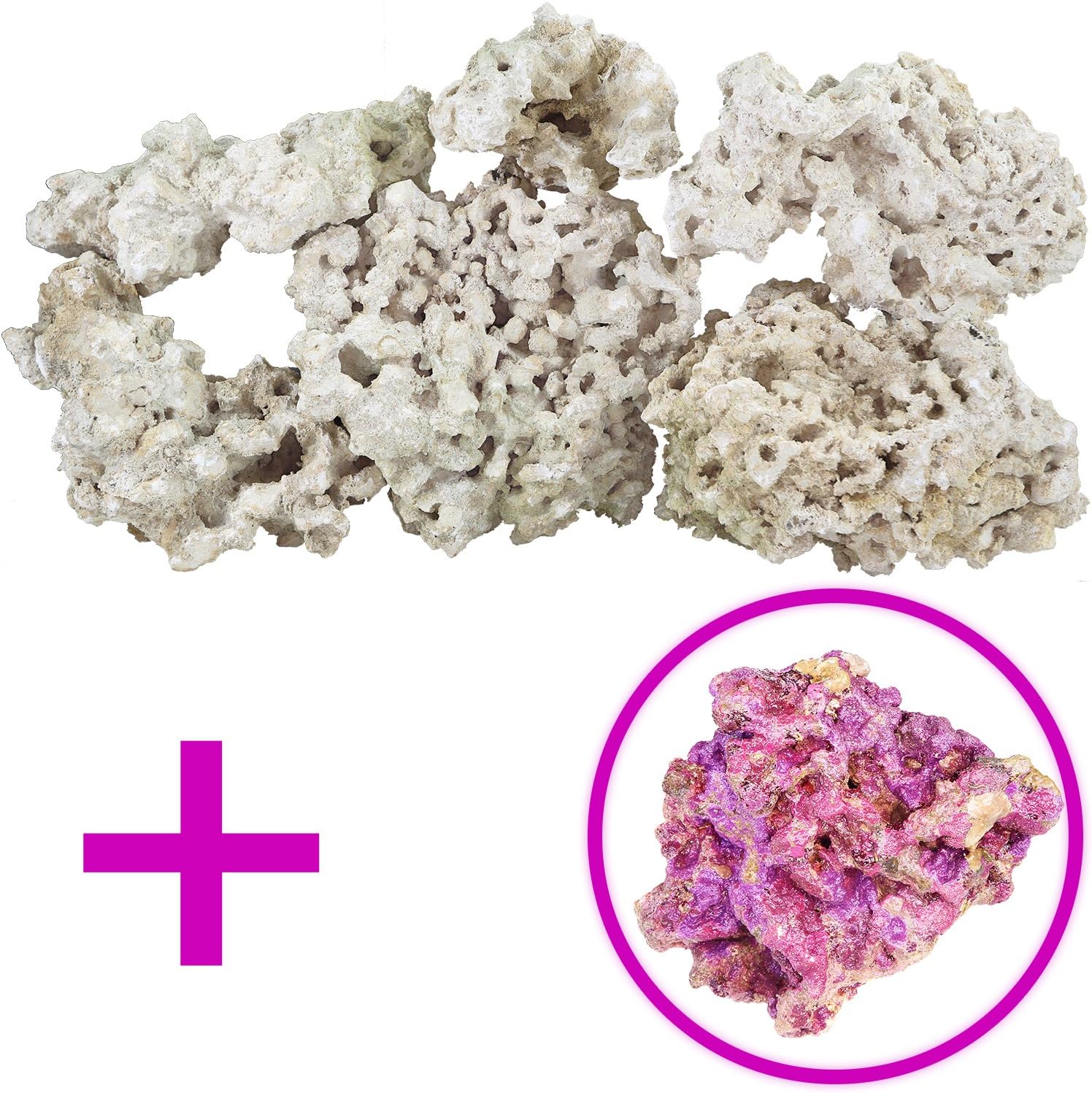 ARC Reef Dry Base Rock with Coralline Algae Bonus Rock for