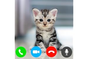 Cats Fake Video Call - Cat Audio Call with Live Chat