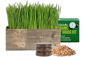 The Cat Ladies Cat Grass Kit Complete with Rustic Wood Planter, Organic Seed and Soil. Easy to Grow - Great for Indoor or Outdoor Cat, Dogs and Other Pets. Prevent Hairballs and Aid Digestion…