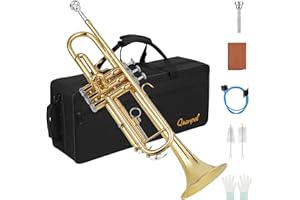 Qsanpel Bb Standard Instruments Gold Trumpet with Case,Valve Oil,7C Mouthpiece and Cleaning Kit