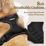 rabbitgoo Dog Harness Medium No Pull Front Back Leash Clips Reflective view 3