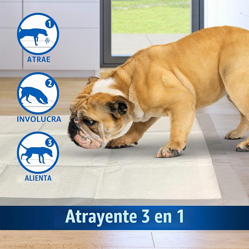 PetCare out IR aquí Almohadillas de Entrenamiento para Perros (Pack de 100)