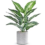 WUKOKU 16" Small Fake Plants Artificial Tropical