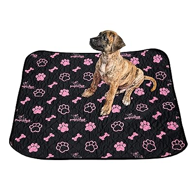 dog training placemat