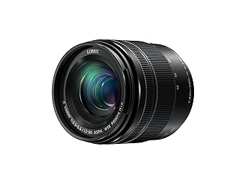 Panasonic LUMIX H-FS12060 - Objetivo Zoom estándar para cámaras de ...
