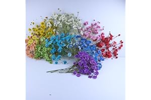 LYFORTZY Colorful 45 Pcs Minir Baby's Breath Flowe for Resin Art / Invitations Card Decor/Bookmark Jewelry DIY Craft, Real Dried Pressed Baby Breath Flowers Bulk with 1 Tweezers.